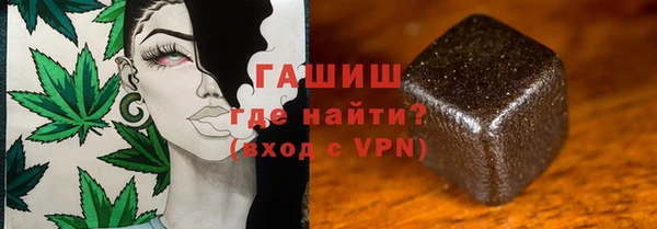 дживик Инта